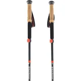 Black Diamond Pursuit Carbon FLZ Trek Poles 125 cm Octane