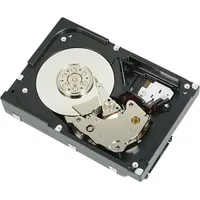 Dell Festplatte - 2 TB - intern - 3.5"