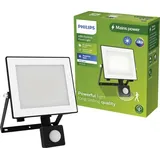 Philips LED Lois 929004642401 LED-Außenstrahler mit Bewegungsmelder 30W Warmweiß