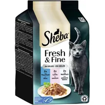 Sheba Fresh & Fine Multipack in Gelee Fisch Variation, 300g (6x 50g)