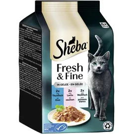 Sheba Fresh & Fine Multipack in Gelee Fisch Variation, 300g (6x 50g)