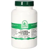 Hecht Pharma Flohsamenschalen St.severin Kapseln