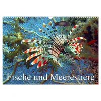 Calvendo Fische und Meerestiere (Wandkalender 2026 DIN A3 quer),