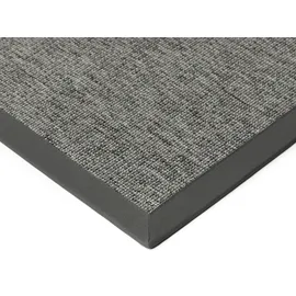 DEKOWE In- & Outdoorteppich Naturino Basic S2 platin 003 Boucle 80x150 cm