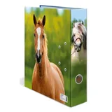 Herma 20097 DIN A4 70 mm Mehrfarbig 1 St.