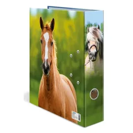 Herma 20097 DIN A4 70 mm Mehrfarbig 1 St.