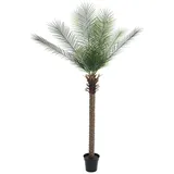 Europalms Europalms, Phönix Palme deluxe, Kunstpflanze 220cm