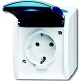 Busch-Jaeger Schuko-Steckdose gr/blgn AP, m.Klappdeckel 20 EW-53
