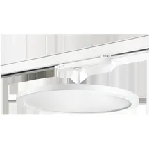 SG-Leuchten Sg, LEUCHTEN LED-Schienenstrahler 27W 3460lm 4000K ...
