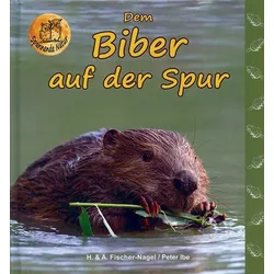 Dem Biber auf der Spur