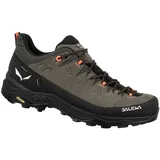 Salewa Herren Alp Trainer 2 Schuhe (Größe 41, braun)