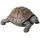 Boltze Figur Slomo Schildkröte (Dekofigur für Garten / Indoor, echtes Design, Maße 34x25x14 cm, Figur aus Kunststoff) 3784300
