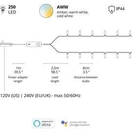 Twinkly Strings Gold Edition LED Lichterkette 250x (TWS-250GOP-BEU)