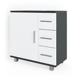 Vicco Waschbeckenunterschrank Ilias 60 x cm