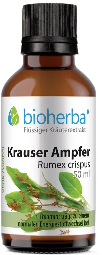 Krauser Ampfer, Rumex crispus, Tropfen, Tinktur 50 ml