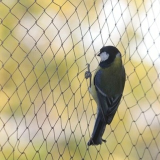 Vogelschutznetz, 10 x 6 m breit, Vogelschutznetz, starkes Gartenteich, Obstnetz, Schutz, Gemüsekäfig