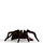 Schleich Wizarding World Aragog
