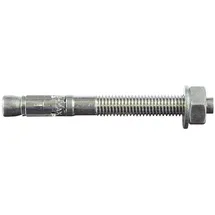 Upat Expressanker MAX 10 x 10 x 95 gvz 50 Stück