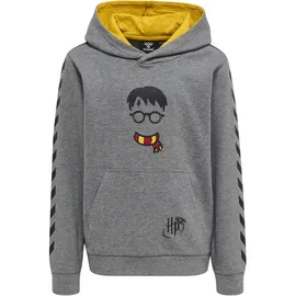 hummel hmlHARRY POTTER CUATRO Hoodie Kinder 2800 medium melange 110