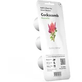Click & Grow Cockscomb Pflanzenkapseln 3er Pack