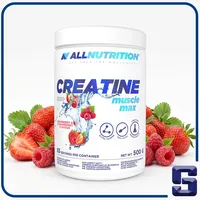 ALLNUTRITION Creatin Mango-Brombeere Pulver 500 g