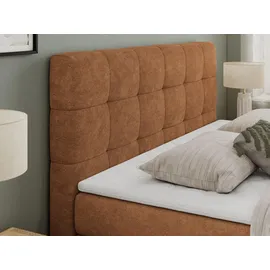 MKS Meble Boxspringbett mit Bettkasten ¦ orange ¦ Maße (cm): B: 140 H: 110
