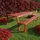Lesli Living Estilo Set 7-tlg. Rot
