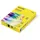 Neusiedler Maestro Color A3 80 g/m2 500 Blatt