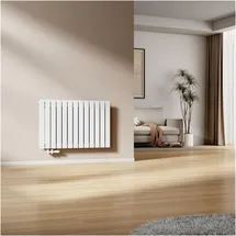 EMKE Flachheizkörper 630 x 1000 mm 730 W weiß Mittelventil