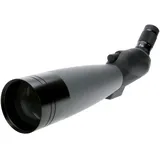 Dörr  Rain Forest ED 20-60x80 A