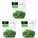 GREENDAY - Brokkoli-Chips - (1 X 20 G) (Packung mit 3)