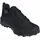 Adidas Terrex AX4 GTX Herren Core Black / Core Black / Grey Four 42