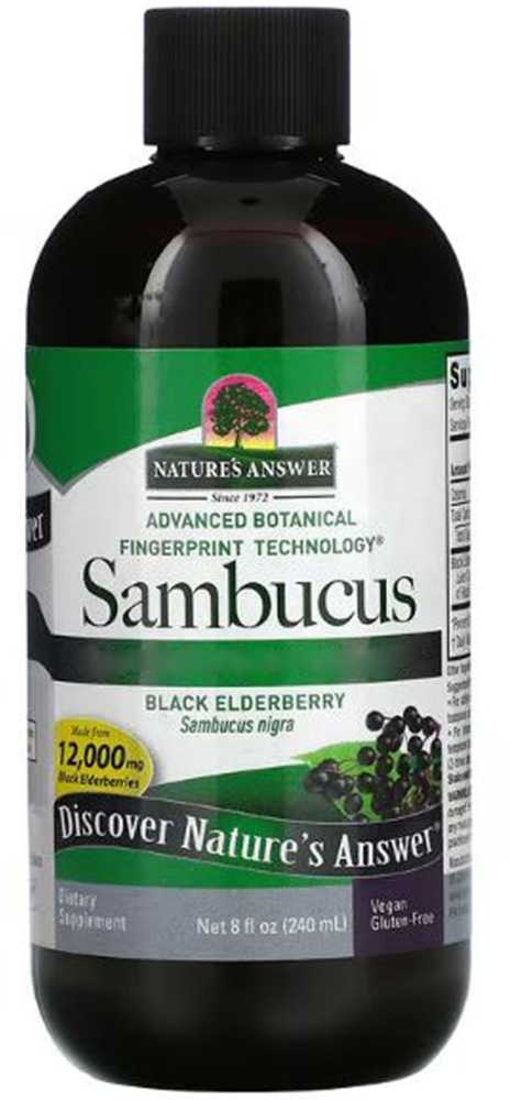 Nature's Answer, Sambucus ohne Alkohol, 2500mg, 240ml