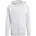 Team Light Grey 176