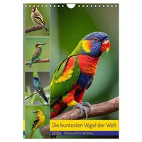 Calvendo Die buntesten Vögel der Welt (Wandkalender 2026 DIN