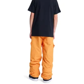 DC Shoes Banshee Schneehose Oriole 14 Jahre
