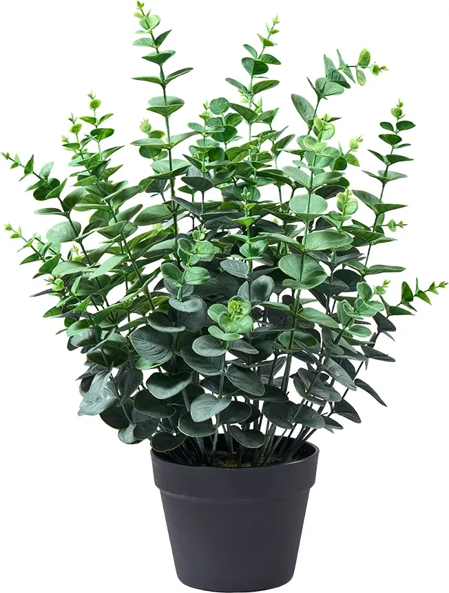 Eucalypthus 61cm Kunststofftopf schwarz  - grün