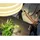 Outwell Campingtisch Berland M Braun