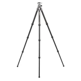 Benro Stativ Tortoise 24C + GX30 Kit Carbon (TTOR24CGX30)