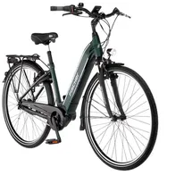 Fischer Cita 3.2i 2022 28 Zoll RH 41 cm Damen grün matt