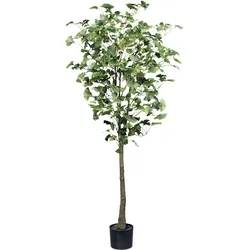 Kunstpflanze CREATIV GREEN "Gingkobaum", grün, H:150cm, Kunstpflanzen, mit detailgetreuem Blattwerk