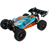 Drive & Fly Models RC-Auto Z06 B2 Buggy 4WD RTR Bunt (3200)