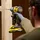 Stanley SFMCF830D2K-QW inkl. 2 x 2,0 Ah