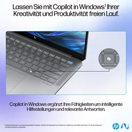 HP OmniBook Ultra 14-fd0094ng, Meteor Silver, Ryzen AI 9 365, 16GB RAM, 1TB SSD, DE (AU1K1EA#ABD)
