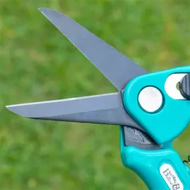 Kerbl Klauenschere für Schafe & Ziegen türkis