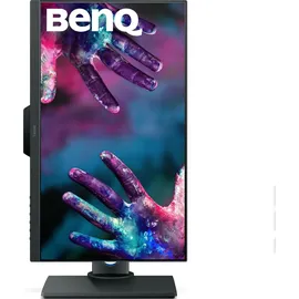 BenQ PD2500Q 25"