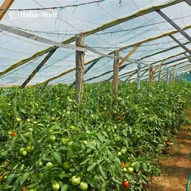 Haga Gitterfolie – verstärkte Folie für Gewächshausbau – 3 Meter – transparent