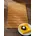 Bambus 50 80 natur