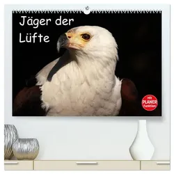 Jäger der Lüfte (hochwertiger Premium Wandkalender 2025 DIN A2 quer), Kunstdruck in Hochglanz