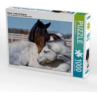 Calvendo Pferde - kraftvolle Eleganz (Puzzle)